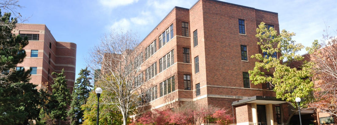 What is the best furniture for student housing?