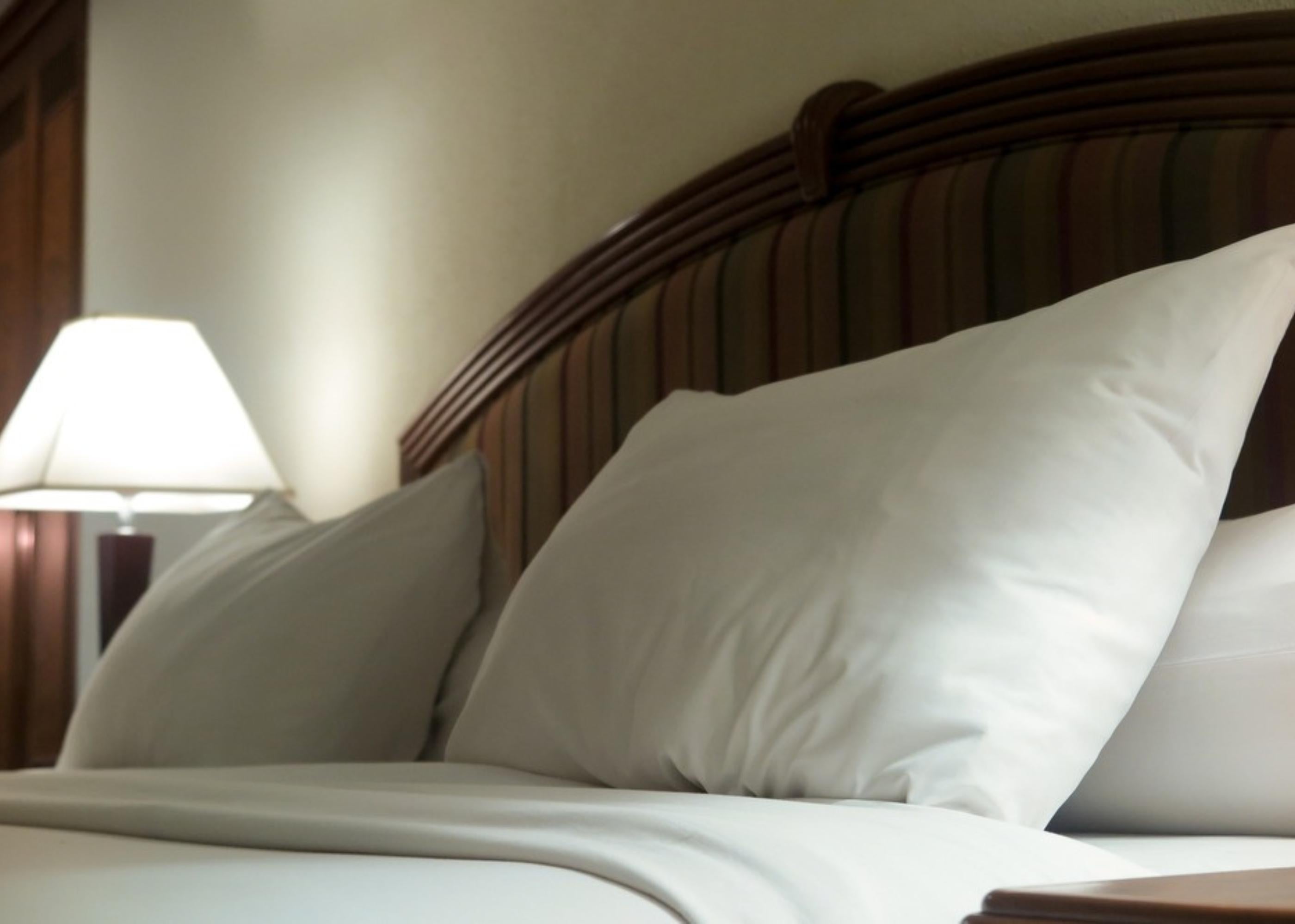 Angled View of Duvet and Pillow Set