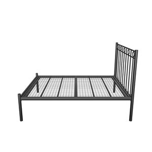 Ivy Bed