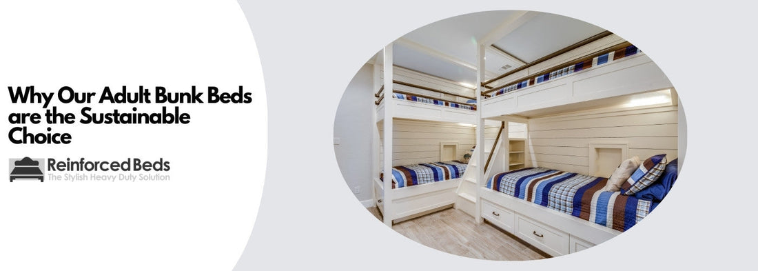 Why our adult bunk beds are the sustainable choice