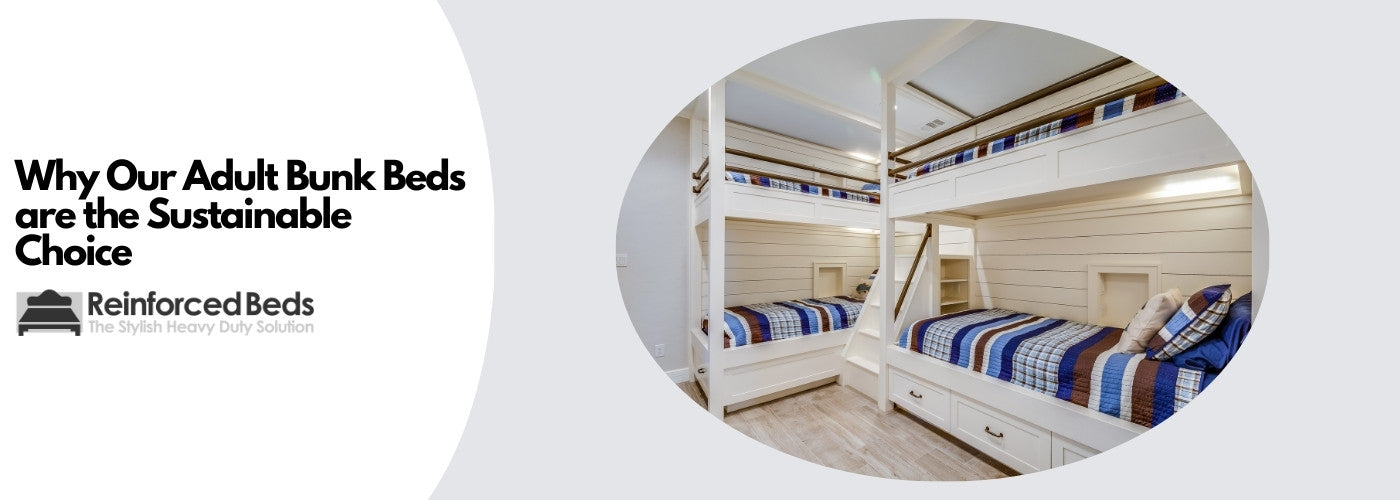 Why our adult bunk beds are the sustainable choice