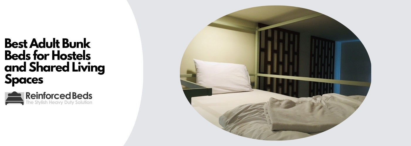 Best adult bunk bed for hostels