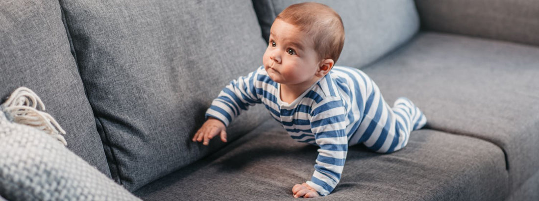 How are our Extreme Sofas a Match for Challenging Behaviour?