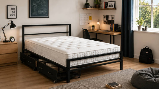 View Beds for Student Landlords