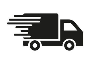 Delivery services icon