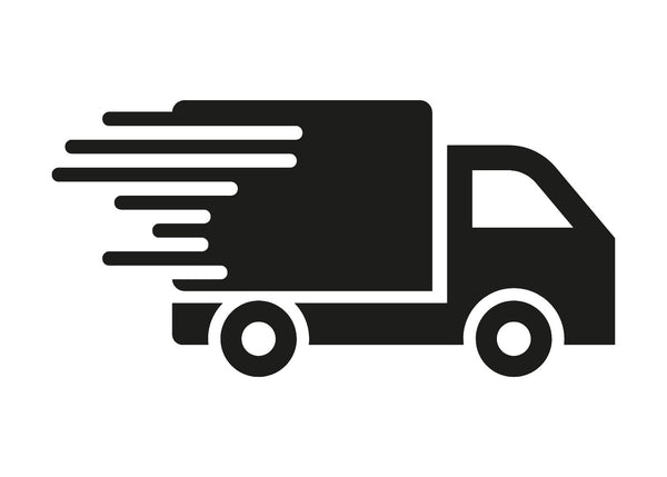Delivery services icon